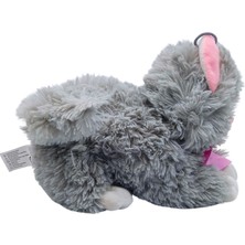Soft Toy Iri Gözlü Ses Çıkaran Peluş Kedi PL626962