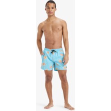 Quiksilver  Everyday Straıght Volley 15 Erkek Şort