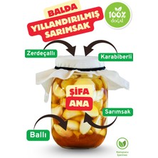 Şifa Ana Zerdeçallı Karabiberli Ballı Sarımsak Kürü