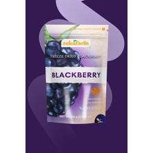 Seka Farm Freeze Dried Böğürtlen, Dondurularak Kurutulmuş Meyve Cipsi, Freeze Dry Meyve Kurusu 20 gr