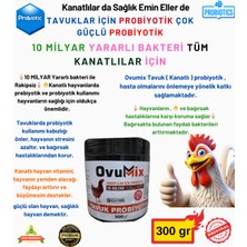 Tavuk Probiyotik Ovumix 300 Gr (Gerçek Kanatlı Probiyotik)