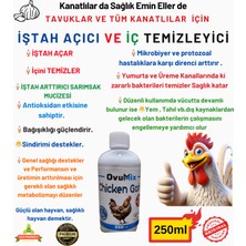Tavuklar Için I.ş.t.a.h Açıcı ve Iç Temizleyici Ovumix 250 ml
