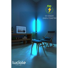 Luciole Led Abajur Aplik Gece Lambası Rgb Lambader 16 Renkli Uzaktan Kumandalı Işık