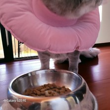 Kedi ve Köpek Yakalığı Elizabeth Yakalık Ameliyat Sonrası Koruyucu Yakalık