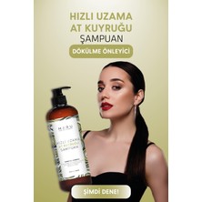 MARU Zayıf Ve Yıpranmış Saçlar İçin  At Kuyruğu Şampuan 400 ml