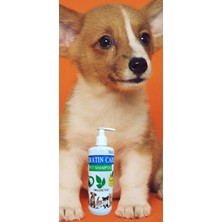 Alwag Keratın Care Pet (Kedi &köpek) Shampoo Vegan Silikonsuz, Parabensiz Şampuan 400 ml