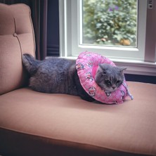 Kedi ve Köpek Yakalığı Elizabeth Yakalık Ameliyat Sonrası Koruyucu Yakalık