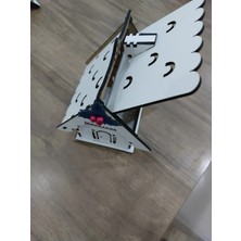 Ev Şeklinde Dekoratif Kutu