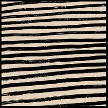 Özel Seri Eşarp 2139-01 90X90