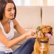 Plastik Yeşil Evcil Hayvan Bakım  Pet Fırçası Çok Amaçlı Pet Fırçası Yeş - TGR2614-7732