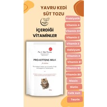 Vettoptan 1 Adet Kedi Biberon Hediye 1 Adet Yavru Kedi Süt Tozu 200 gr Anne Sütü Destekli Probiyotikli