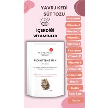 Vettoptan 1 Adet Kedi Biberon Hediye 1 Adet Yavru Kedi Süt Tozu 200 gr Anne Sütü Destekli Probiyotikli