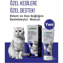 Artrocat Eklemm ve Kas Sağlığını Destekleyici Macun Kedi Maltı