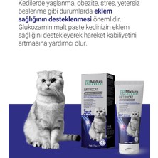 Artrocat Eklemm ve Kas Sağlığını Destekleyici Macun Kedi Maltı