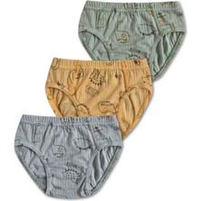 %100 Pamuk Erkek Çocuk Slip Külot Iç Çamaşır 6lı Set