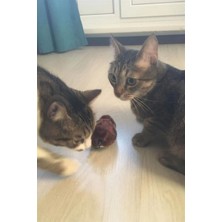 Kurmalı Kedi Eğitim Oyuncağı Tüylü Peluş Fare Oyunu Interaktif Sevimli Eğlenceli Oyuncak