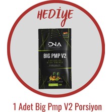 Dna Nutrition Aol (Arjinin - Ornitin - Lizin) 300 gr