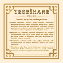 Gökkuşağı Renkli Doğal Damla Kehribar Taşlı Kadın Kolye