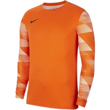 Nike M Nk Df Park Iv Jsy Gk CJ6066-819 Kaleci Forma