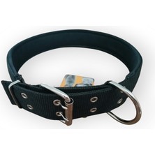 Büyük Irk Köpek Boyun Tasması