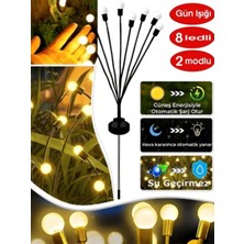 Güneş Enerjili  8 Ledli   Dekoratif Solar Bahçe Lambası 2'li Paket