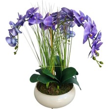 Metal Krem Saksıda 3 Dal Islak Orkide Aranjmanı