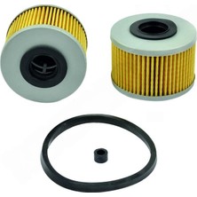 Renault Megane 1.9d- 1.9dcı 97-03 Yakıt Filtre RXF2548-7701043620-P7161X-KX79D