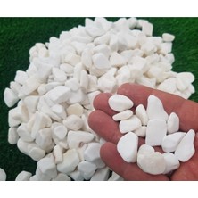 Luxury Dolomit Taş 15 kg 1-2 cm Dere Taşı Çakıl Taşı Dolamit Taş Dekoratif Taş 1 Adet