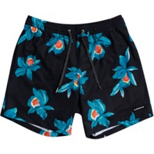 Quiksilver MYSTIC SESSION STR VOLLEY 15