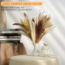 Quarter Stone 75 Adet Doğal Kurutulmuş Pampas Otu Dekoru, 17 Inç Kamış ve Tavşan Kuyrukları (Yurt Dışından)