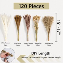 Quarter Stone 120 Adet Boho Ev Düğün Partisi Dekoru Kurutulmuş Çiçek Düzenlemeleri Çim (Yurt Dışından)