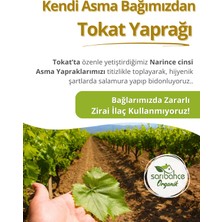 Sarıbahçe Tokat Asma Yaprağı 5 kg