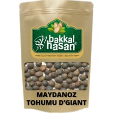 Maydanoz Tohumu D'gıant Italiana 10 gr 1 Adet