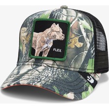 Deceptive.camouflage