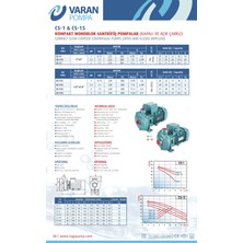 Alavan Varan Cs 11 Tek Kademe Monoblok Santrifüj Pompa 1 Hp/ 0.75 Kw, Trifaze 380 V, 29 Mss, 8 M3/h