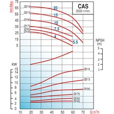 Alavan Varan Cas 4 Monoblok Uçtan Emişli Santrifüj Pompa 4 Hp / 3 Kw, Trifaze 380 V, 27 Mss, 60 M3/h