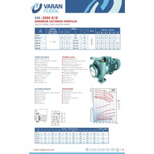 Alavan Varan Cas 4 Monoblok Uçtan Emişli Santrifüj Pompa 4 Hp / 3 Kw, Trifaze 380 V, 27 Mss, 60 M3/h