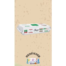 Sleepy Mop Çamaşır Suyu Katkılı 50 Yaprak ve Mandallı Mop Seti