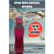 750 ml Su Matarası Eve, Okula, Spora, Iş Yerine Uygun & Su Şişesi & Suluk - Bordo