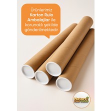 Nature Play Design Sevimli Aslan Kral Çocuk ve Bebek Odası Duvar Sticker 50/ 50 Ölçüsünde