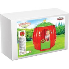 Pilsan Çilek Ev 06158 Ank
