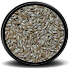Sade Kanarya Yemi (Aspur) 1kg