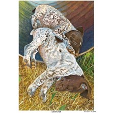 Lineart Pirinç Dekopaj Kağıdı Model - 2360