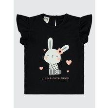 Civil Baby Kız Bebek 3'lü Takım 6-18 Ay