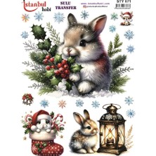 Yılbaşı Sulu Transfer 25X35CM STY071