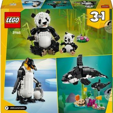 LEGO® Creator 3’ü 1 Arada Vahşi Hayvanlar: Panda Ailesi 31165 - 8 Yaş & Üzeri Çocuklar için Oyuncak Yapım Seti (626 Parça)
