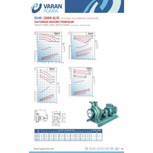 Alavan Varan Es 40-20-07502 Uçtan Emişli En 733 Santrifüj Pompa 10 Hp / 7.5 Kw, Trifaze 380 V, 45 Mss, 40 M3/h