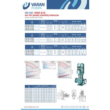 Alavan Varan Ces-I 40-16-04002 In-Line Döküm Santrifüj Pompa 5.5 Hp / 4 Kw, Trifaze 380 V, 40 Mss, 22 M3/h