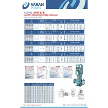 Varan Ces-I 50-13-02202 In-Line Döküm Santrifüj Pompa 3 Hp / 2.2 Kw, Trifaze 380 V, 23 Mss, 30 M3/h
