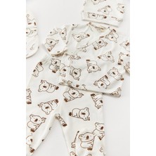 5'li Koala Set